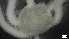  ( - LHA21-HA-E024)  @11 [ ] C (2022) Unspecified Biologica Environmental Services