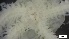  ( - LHA21-HA-E024)  @11 [ ] C (2022) Unspecified Biologica Environmental Services