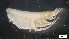  ( - MV21-IO-A198)  @11 [ ] C (2022) Unspecified Biologica Environmental Services
