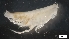  ( - MV21-IO-A198)  @11 [ ] C (2022) Unspecified Biologica Environmental Services