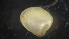  ( - MV21-IO-M002)  @11 [ ] C (2022) Unspecified Biologica Environmental Services