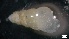  ( - MV21-IO-M069)  @11 [ ] C (2022) Unspecified Biologica Environmental Services