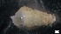  ( - MV21-IO-M070)  @11 [ ] C (2022) Unspecified Biologica Environmental Services