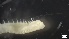  ( - MV21-IO-P001)  @11 [ ] C (2522) Unspecified Biologica Environmental Services