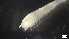  ( - MV21-IO-P002)  @11 [ ] C (2524) Unspecified Biologica Environmental Services
