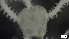  ( - MV21-IO-E002)  @11 [ ] C (2022) Unspecified Biologica Environmental Services