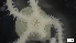  ( - MV21-IO-E002)  @11 [ ] C (2022) Unspecified Biologica Environmental Services