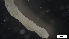  ( - MV21-IO-P043)  @11 [ ] C (2548) Unspecified Biologica Environmental Services