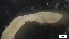  ( - MV21-IO-P044)  @11 [ ] C (2550) Unspecified Biologica Environmental Services