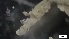  ( - MV21-IO-P044)  @11 [ ] C (2551) Unspecified Biologica Environmental Services