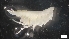  ( - MV21-LG-A200)  @11 [ ] C (2022) Unspecified Biologica Environmental Services