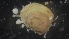  ( - MV21-LG-M004)  @11 [ ] C (2022) Unspecified Biologica Environmental Services