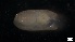  ( - MV21-LG-M042)  @11 [ ] C (2022) Unspecified Biologica Environmental Services