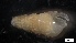  ( - MV21-LG-M071)  @11 [ ] C (2022) Unspecified Biologica Environmental Services