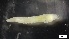  ( - MV21-LG-P006)  @11 [ ] C (2022) Unspecified Biologica Environmental Services