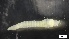  ( - MV21-LG-P006)  @11 [ ] C (2022) Unspecified Biologica Environmental Services