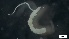  ( - MV21-LG-P084)  @11 [ ] C (2022) Unspecified Biologica Environmental Services