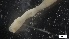  ( - MV21-LG-P105)  @11 [ ] C (2022) Unspecified Biologica Environmental Services