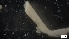  ( - MV21-LG-P106)  @11 [ ] C (2022) Unspecified Biologica Environmental Services