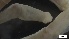  ( - MV21-LG-P107)  @11 [ ] C (2022) Unspecified Biologica Environmental Services