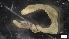  ( - MV21-LG-P275)  @11 [ ] C (2022) Unspecified Biologica Environmental Services