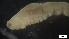  ( - MV21-LG-P275)  @11 [ ] C (2022) Unspecified Biologica Environmental Services