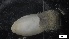  ( - MV21-LG-P345)  @11 [ ] C (2022) Unspecified Biologica Environmental Services