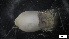  ( - MV21-LG-P346)  @11 [ ] C (2022) Unspecified Biologica Environmental Services