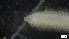  (Nephtys caecoides - S21-GB-P208)  @11 [ ] C (2022) Unspecified Biologica Environmental Services