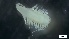  ( - S21-GB-P274)  @11 [ ] C (2022) Unspecified Biologica Environmental Services