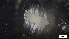  ( - S21-PB-P350)  @11 [ ] C (2022) Unspecified Biologica Environmental Services
