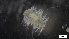 ( - S21-PB-P350)  @11 [ ] C (2022) Unspecified Biologica Environmental Services