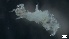  ( - S21-PB-P351)  @11 [ ] C (2022) Unspecified Biologica Environmental Services