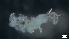  ( - S21-PB-P351)  @11 [ ] C (2022) Unspecified Biologica Environmental Services