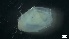  ( - S21-TU-M155)  @11 [ ] C (2022) Unspecified Biologica Environmental Services