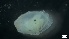  ( - S21-TU-M155)  @11 [ ] C (2022) Unspecified Biologica Environmental Services