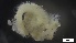  ( - S21-TU-P310)  @11 [ ] C (2022) Unspecified Biologica Environmental Services