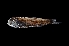  ( - NEC3019-M100-07b)  @11 [ ] Copyright (2019) Elodie Vourey Pacific Community