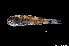  ( - NEC3020-M101-12)  @11 [ ] Copyright (2019) Elodie Vourey Pacific Community