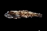  ( - NEC3013-M091-17a)  @11 [ ] Copyright (2019) Elodie Vourey Pacific Community