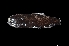  ( - PUF14-M161-33a)  @11 [ ] Copyright (2018) Elodie Vourey Pacific Community