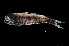  ( - NEC3010-M084-02c)  @11 [ ] Copyright (2019) Elodie Vourey Pacific Community
