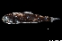  ( - NEC5004-M115-23)  @11 [ ] Copyright (2019) Elodie Vourey Pacific Community