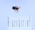 (Walckenaeria bifasciculata - BGE_00659_D06)  @11 [ ] (nrr) (2025) Ana Ananiashvili ISU