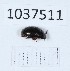  (Platydema tristis - BGE_00652_F12)  @11 [ ] (nrr) (2024) Ana Ananiashvili ISU