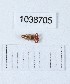  (Roncus cf. caucasicus - BGE_00664_C07)  @11 [ ] (nrr) (2024) Ana Ananiashvili ISU
