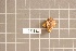  ( - BGE_00688_E04)  @11 [ ] No Rights Reserved (2024) Unspecified Ilia State University, Institute of Ecology
