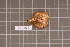  ( - BGE_00688_E09)  @11 [ ] No Rights Reserved (2024) Unspecified Ilia State University, Institute of Ecology