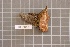  ( - BGE_00688_G02)  @11 [ ] No Rights Reserved (2024) Unspecified Ilia State University, Institute of Ecology