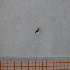  ( - VV1_2_Dip_02)  @11 [ ] CreativeCommons  Attribution Non-Commercial Share-Alike (2023) Unspecified University of Lodz